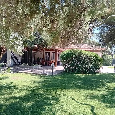 Comfortable And Spacious - Villa Baia Domizia
